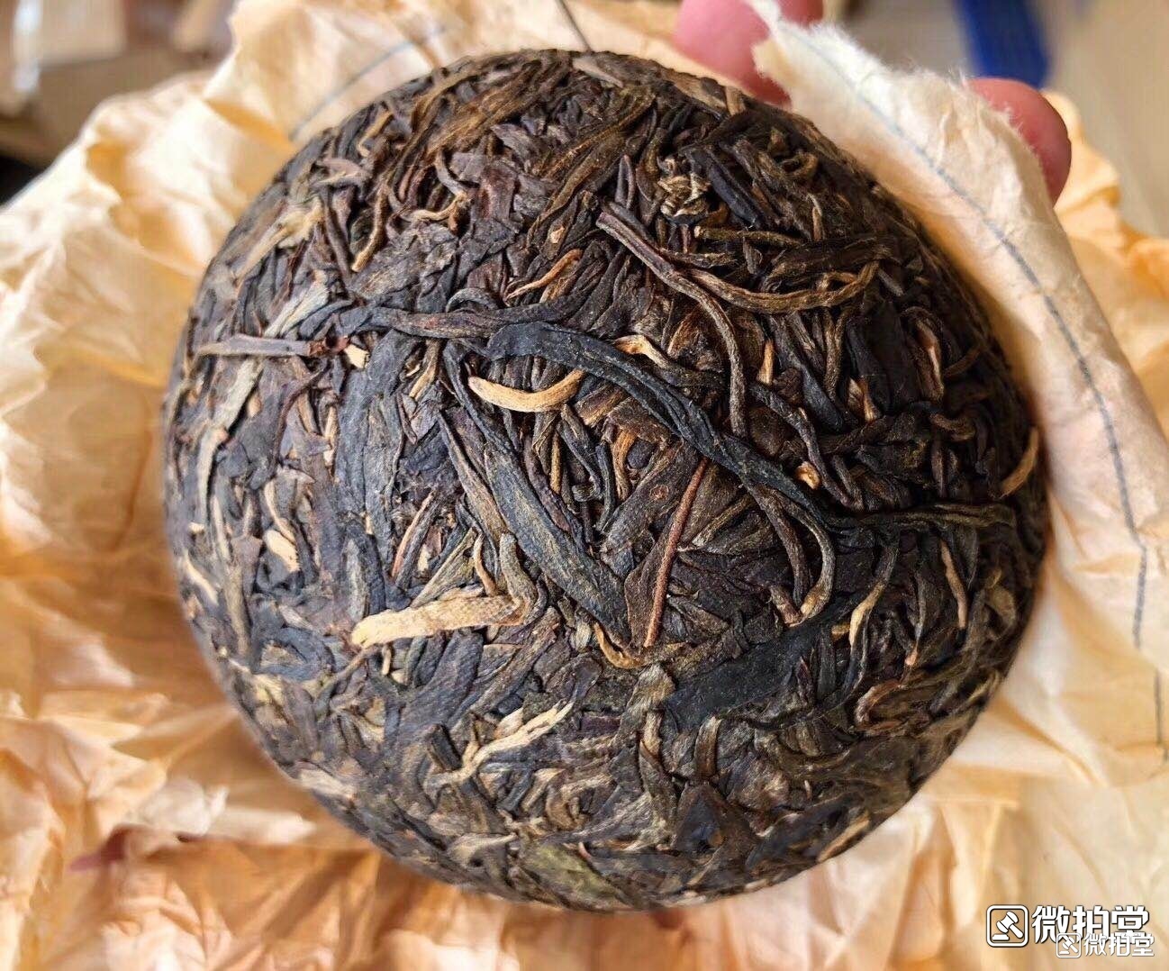 自家普洱生茶饼制作全程详解：从采摘到压制，让你轻松掌握压饼技巧