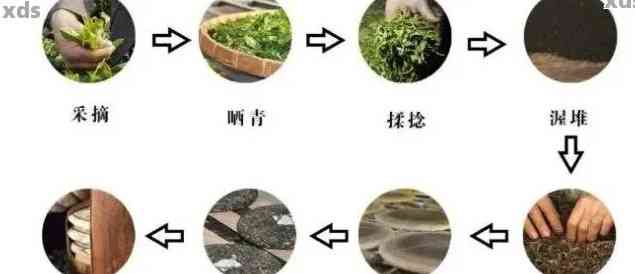 普洱年份茶的制作过程：生茶还是熟茶的奥秘解析