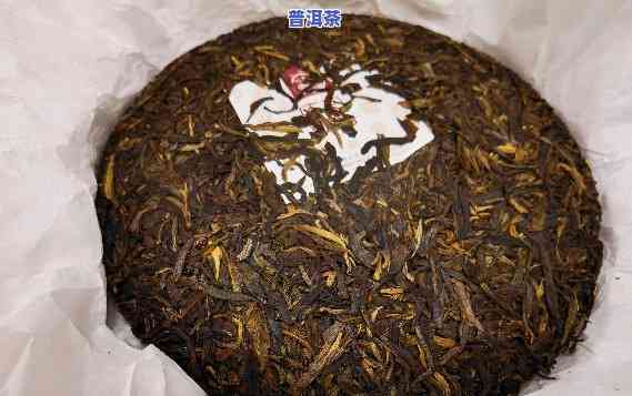 班章普洱茶新老茶品对比：哪一种更适合您？解析两者特点及适用场景