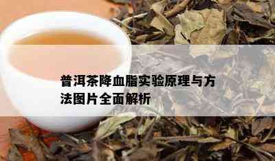 普洱茶降血脂效果明显-普洱茶降血脂效果明显吗