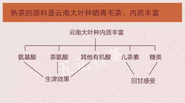 普洱茶中糖苷类与其它糖类成分的对比分析及其对健的影响