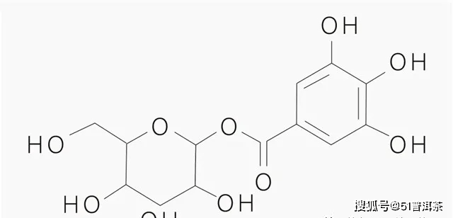 普洱茶糖苷类与其它糖类的成分及其区别解析