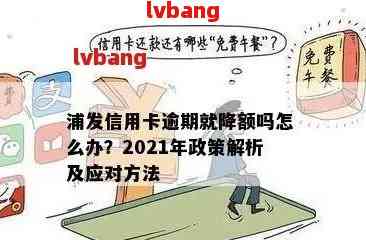 浦发信用卡逾期还款后额度恢复缓慢或无法使用的原因及解决方法