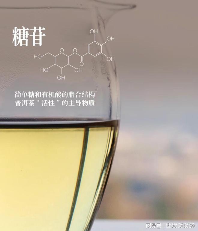 普洱茶糖苷类与其它糖的区别：大吗？