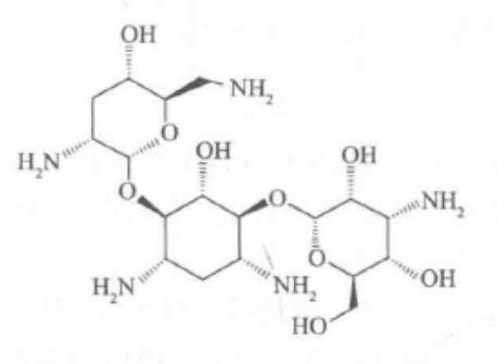 普洱茶糖苷类和其它糖区别