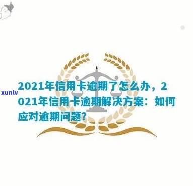 2021广发信用卡逾期新规：政策解读、影响分析及应对策略