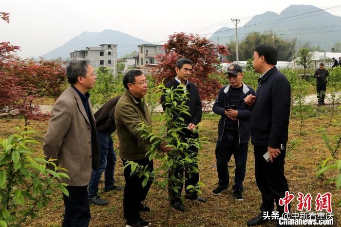 信用卡主卡不还款副卡要还款吗怎么办：完整指南