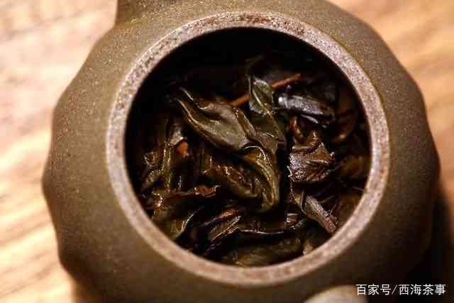 探究普洱茶熟茶白点的成因及其对品质的影响