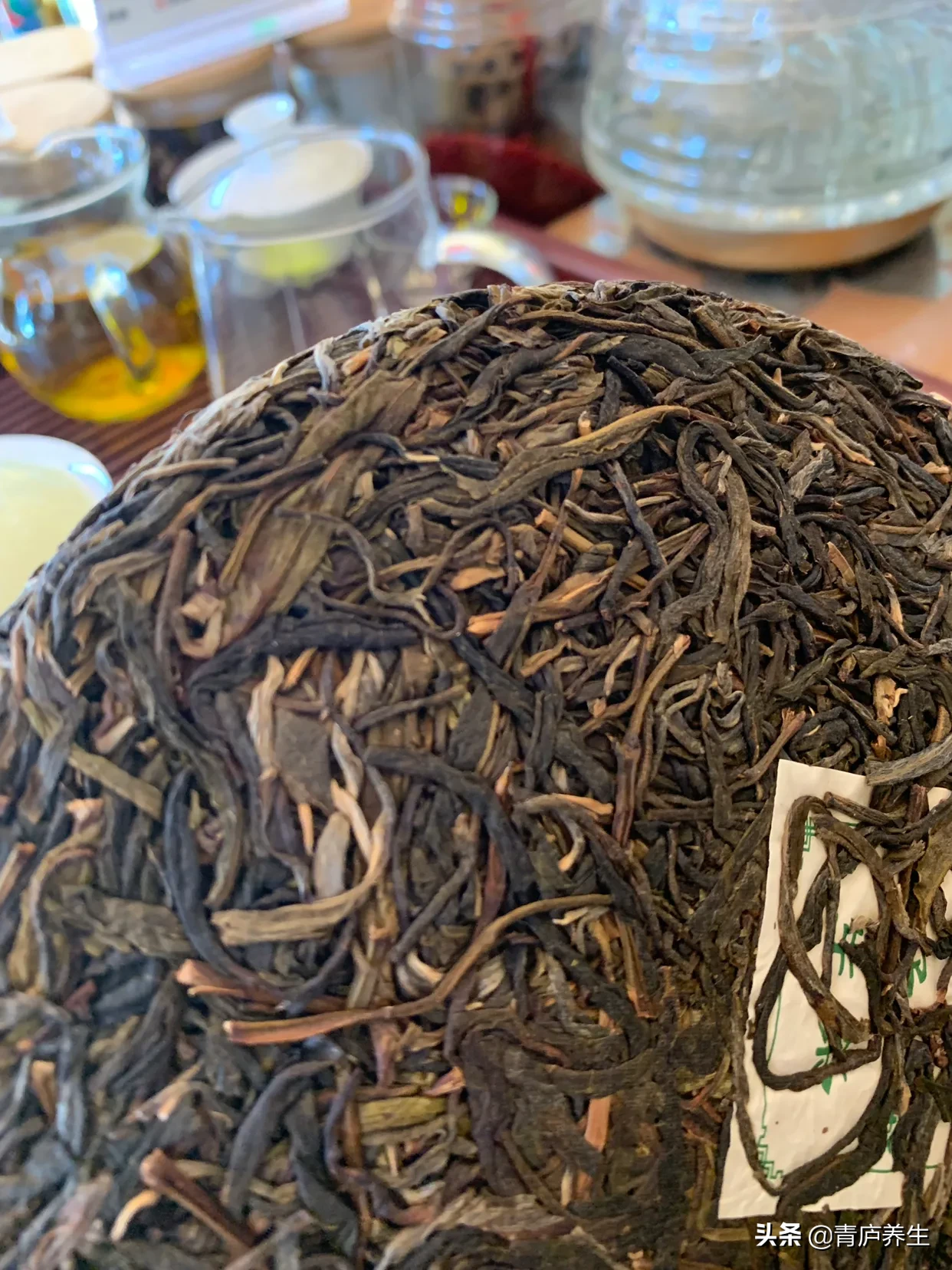 会火起来的普洱茶是什么茶