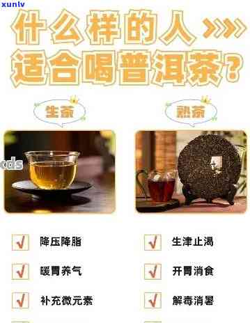 科学有效的普洱茶饮用方法助你轻松减肥