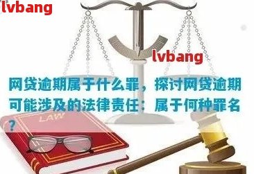 网贷逾期费计费的标准是：具体细则与影响因素解析