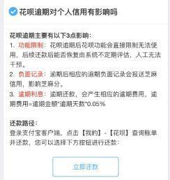 全面解析网贷逾期还款费用：逾期罚息、滞纳金等收费标准一览无余