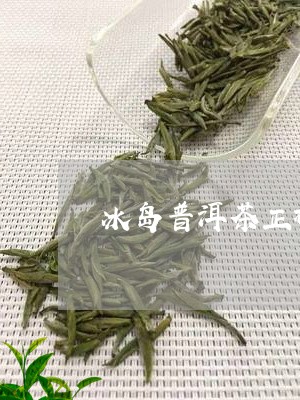 冰岛普洱茶冲泡技巧：如何泡出好喝的冰岛普洱茶