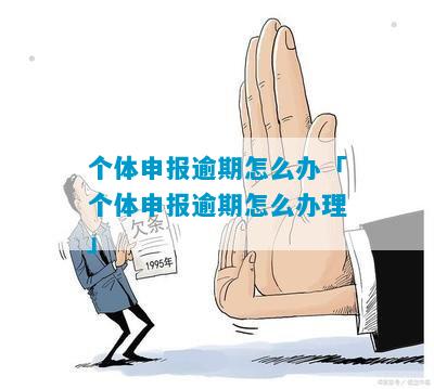 个体户逾期申报后如何在网上成功申报并解决相关问题