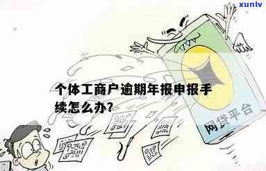 个体户逾期申报后如何在网上成功申报并解决相关问题