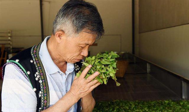 普洱茶滞销的真正原因-普洱茶滞销的真正原因是什么