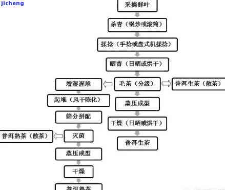 制作生普洱茶的工艺有哪些方法和技巧？请提供相关的制作流程。