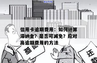 信用卡逾期滞纳金：原因、计算方法及如何避免