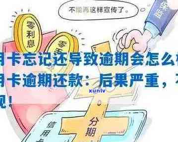 信用卡逾期2年未还款的后果及解决办法，你了解多少？