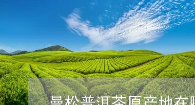 勐海松韵普洱茶产地是哪里