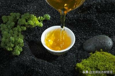 中国普洱茶知名-中国普洱茶知名有哪些