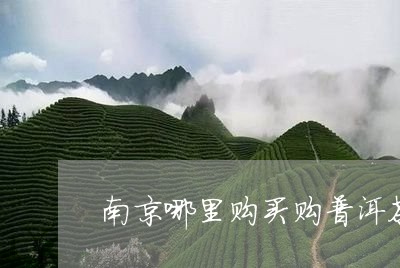 南京茶城有普洱茶吗在哪里