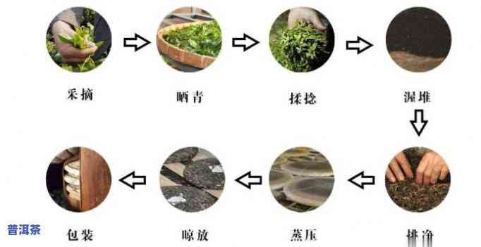 普洱茶工艺程序的特点：自动化、精细度高、历悠久、独特风味。