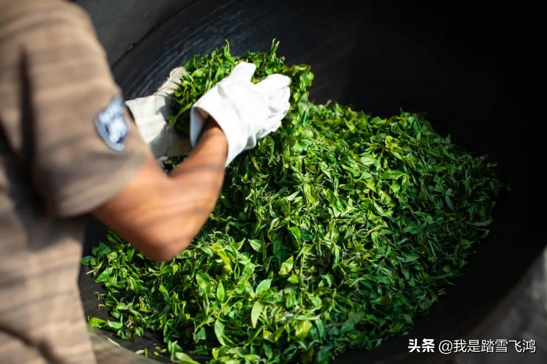 普洱茶深夜炒茶能喝吗？女生可以喝吗？