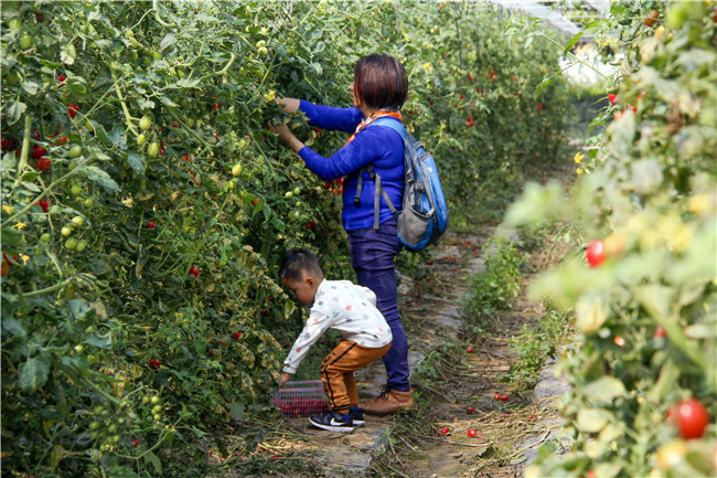 '翡翠戴着变红了正常吗：原因与解决方法'