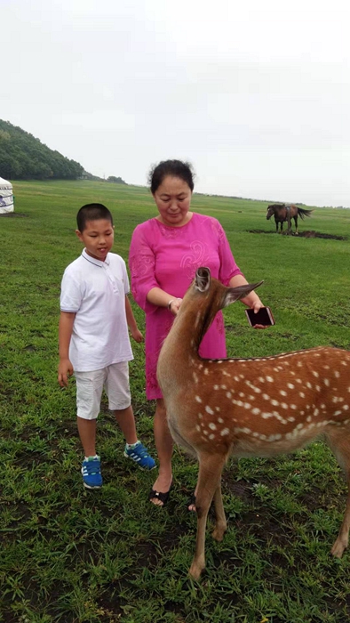 草原上的普洱茶：独特特点与全面功效解析，让你深入了解这款茶叶的奥秘