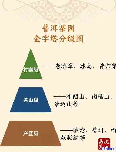 探究普洱茶原料分级标准：制作工艺与品质的关系