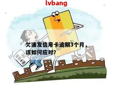 浦发信用卡逾期4天了，我应该如何处理？逾期后有哪些解决办法？