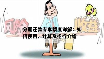 如何充分利用分期专项额度：实用指南与操作步骤