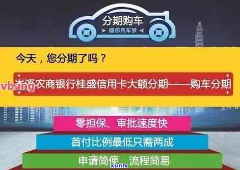 如何充分利用分期专项额度：实用指南与操作步骤