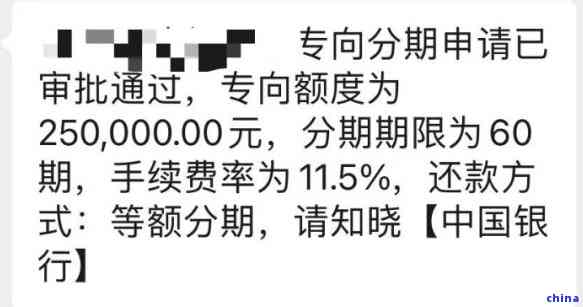 如何充分利用分期专项额度：实用指南与操作步骤