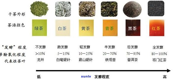 如何通过观察与品尝来评估普洱茶的萎凋程度：关键步骤与判断标准