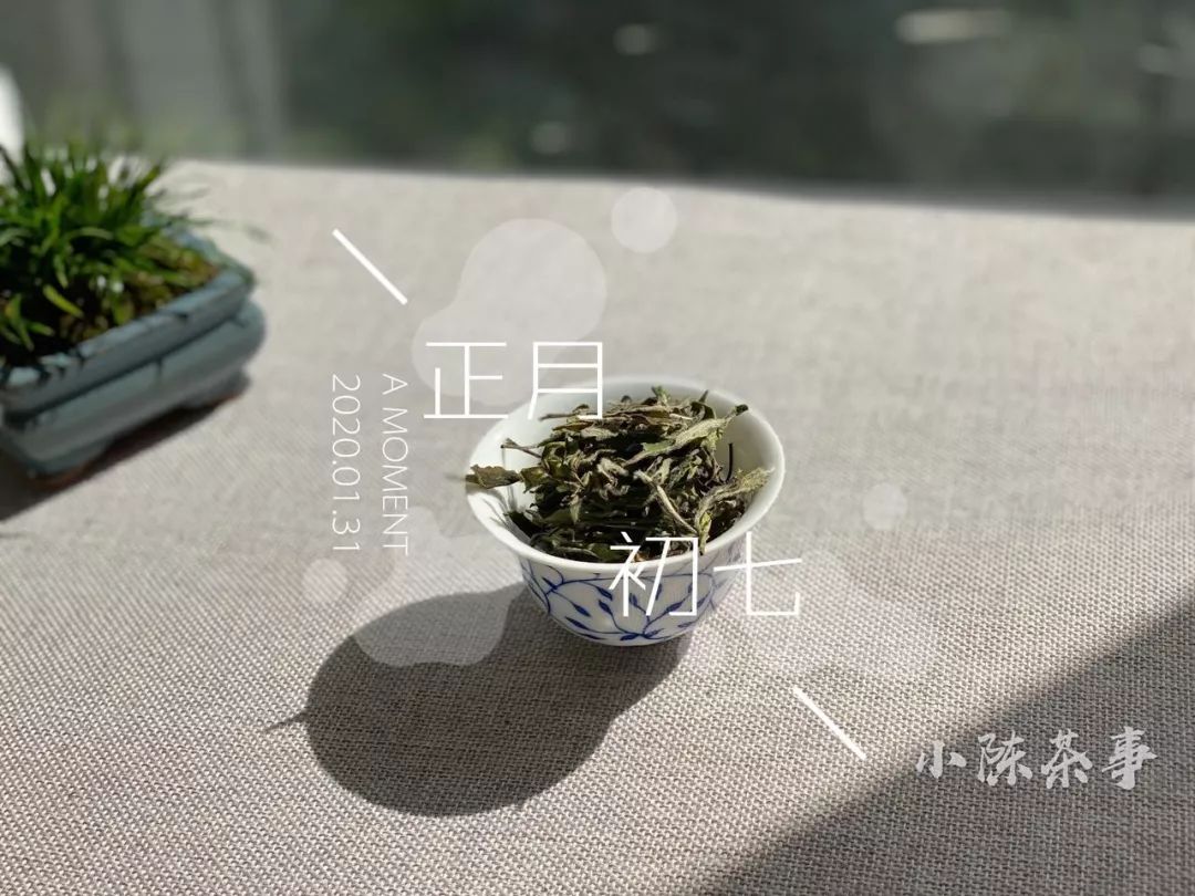 全面解析：如何准确评估普洱茶的萎调程度？