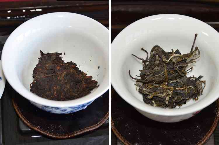 普洱茶生茶原料的颜色对其品质有何影响？