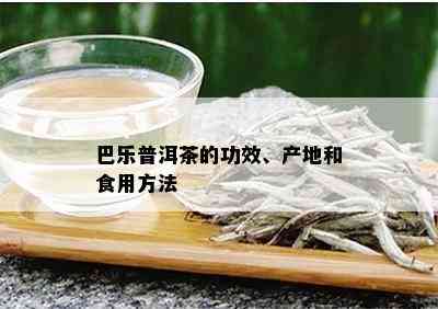 巴乐普洱茶：哪个产区的顶级茶叶？