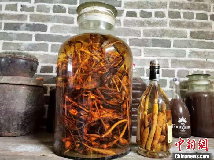 牛大力与陈皮泡酒：一种新的药膳组合，你试过了吗？