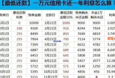 无免息期信用卡还款策略：如何合理安排资金利用