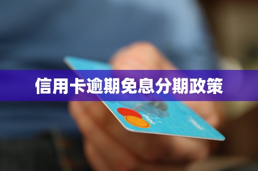 无免息期信用卡还款策略：如何合理安排资金利用