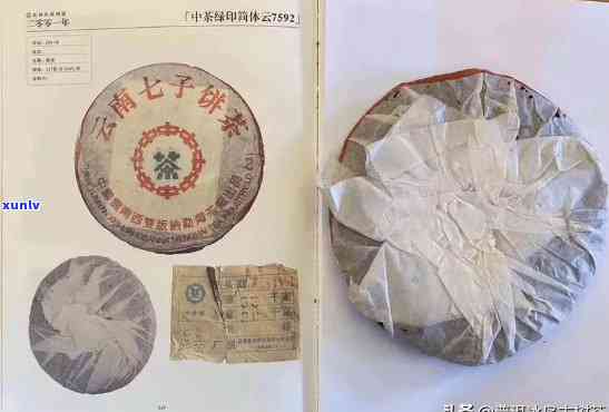 2000年中茶绿印茶大全：7262熟茶与7542品种介绍