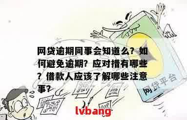 网贷逾期后介入：了解情况、采取措以及如何避免类似问题