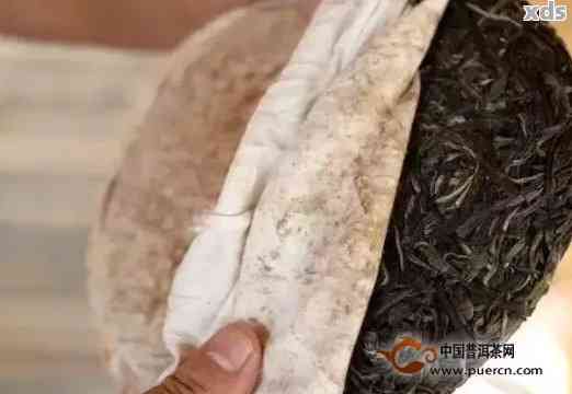 探究普洱茶压制成坨的深层原因及其对茶叶品质的影响