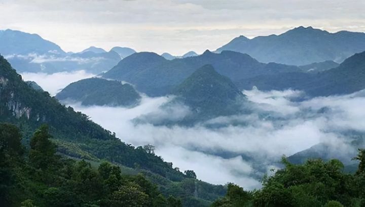 临沧卖普洱茶的公司有哪些：临沧产区普洱茶批发