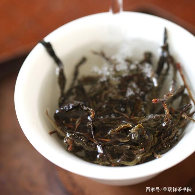 你没喝过的普洱茶是什么茶