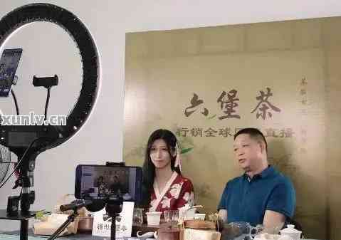 普洱茶直播界假茶真伪：揭示真相！普洱茶直播平台、直播间实况解析