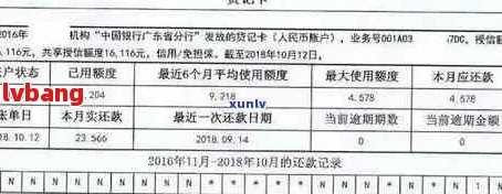 中信银行还款记录查询方法：如何查看贷款和信用卡的还款情况