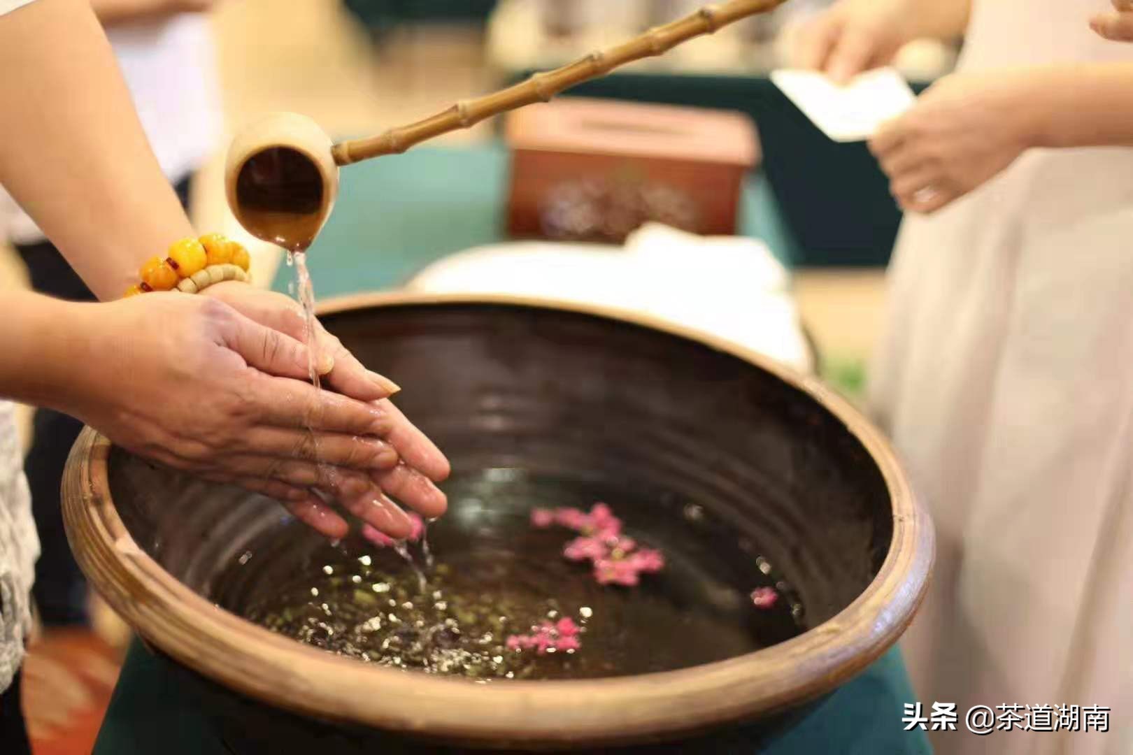 京东老同志普洱茶旗舰店：精品普洱茶选购指南、品鉴教程、新老茶友交流平台